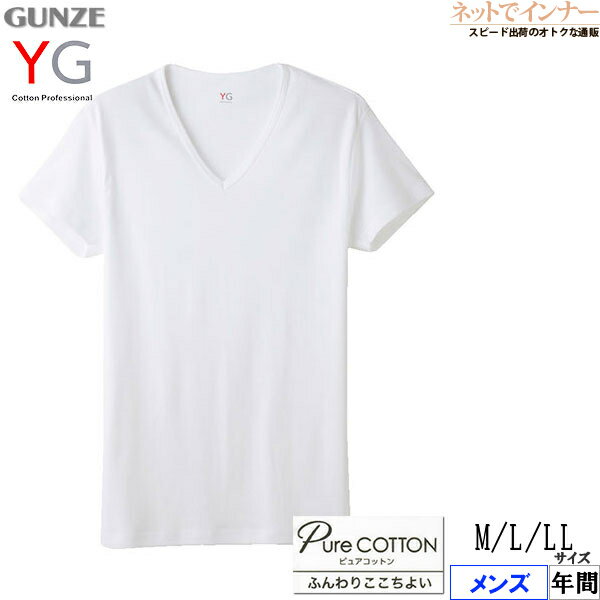 Rakuten - グンゼ YG メンズ VネックTシャツ (V首) ピュアコットン 綿100% 年間 YVP015A[M、L、LLサイズ]
