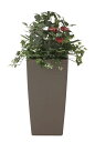 【送料無料】《アートグリーン》《人工観葉植物》光触媒 光の楽園 ア−ト植栽R