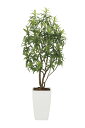 【送料無料】《アートグリーン》《人工観葉植物》光触媒 光の楽園 フレッシュドラセナW1.8