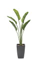 【送料無料】《アートグリーン》《人工観葉植物》光触媒 光の楽園 オ―ガスタ1.8(ポリ製)