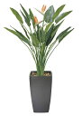 【送料無料】《アートグリーン》《人工観葉植物》光触媒 光の楽園 ア−トストレチア花付1.8