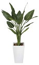 【送料無料】《アートグリーン》《人工観葉植物》光触媒 光の楽園 ストレチアW1.3