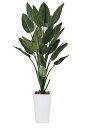 【送料無料】《アートグリーン》《人工観葉植物》光触媒 光の楽園 ストレチアW1.6