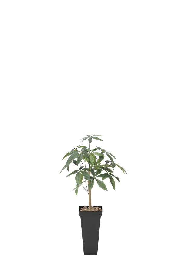 《アートグリーン》《人工観葉植物》光触媒　光の楽園　スリムパキラ1.0