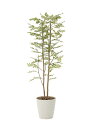 【送料無料】《アートグリーン》《人工観葉植物》光触媒 光の楽園 ゴ−ルデンリ−フ 1.8