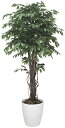 【送料無料】《アートグリーン》《人工観葉植物》光触媒 光の楽園 ベンジャミンリアナ 1.8
