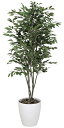【送料無料】《アートグリーン》《人工観葉植物》光触媒 光の楽園 ベンジャミンツリ− 1.8