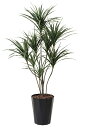 【送料無料】《アートグリーン》《人工観葉植物》光触媒 光の楽園 ユッカ1.8