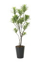 【送料無料】《アートグリーン》《人工観葉植物》光触媒 光の楽園 フレッシュドラセナ1.8