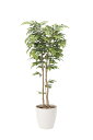 【送料無料】《アートグリーン》《人工観葉植物》光触媒 光の楽園 ケヤキ1.8