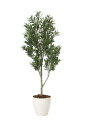 【送料無料】《アートグリーン》《人工観葉植物》光触媒 光の楽園 オリ−ブツリ− 1.65
