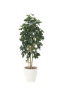 【送料無料】《アートグリーン》《人工観葉植物》光触媒 光の楽園 シェフレラ1.8