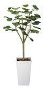 【送料無料】《アートグリーン》《人工観葉植物》光触媒 光の楽園 ウンベラ―タダブル1.8