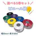よりどり5個セット ビニール紐 幅50mm×長さ500m 全7色 平テープ ビニールひも 紐 レコード巻 すずらんテープ タフロープ 工作 文化祭 自由研究 手芸 荷造 イベント 運動会 保育園 幼稚園 小学校 図鑑 理科 科学 実験キット 知育