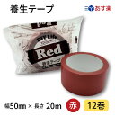 養生テープ 50mm幅×20m 赤 1箱12巻入りカラー全6色 カラーテープ あす楽