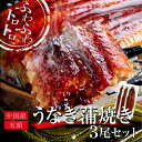 うなぎ 蒲焼き3尾セット(250g×3尾)送料無料 (母の日 父の日 お中元 ギフト プレゼント 贈り物 グルメ 国産 国内産 土用の丑の日 御祝)(jfb3)...