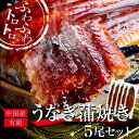 うなぎ 蒲焼き5尾セット(250g×5尾)送料無料 (母の日 父の日 お中元 ギフト プレゼント 贈り物 グルメ 国産 国内産 土用の丑の日 御祝)(jfb4)...