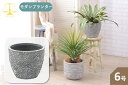 プランターカバー 約幅31×奥行31×高さ25cm グレー グリーンベース 完成品 リビング 店舗 インテリア家具 ベース 入れ物 観葉植物入れ 飾り インテリア インテリア雑貨 室内 おしゃれ 植木鉢 6号
