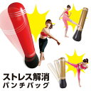 ストレス解消パンチバッグ 健康器具 トレーニング エクササイズ シェイプアップ 簡単 手軽 パンチ キック ストレッチ 倒しても起き上がる 空気式