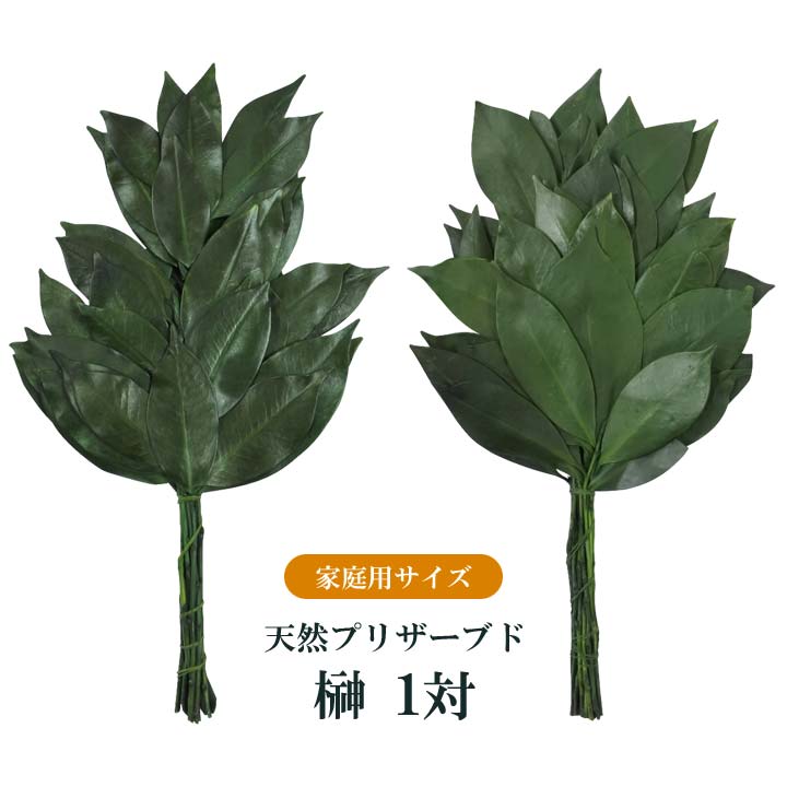 家庭用枯れないプリザーブド榊 1対 神具 神棚 お供え 一対 セット プリザーブドフラワー 枯れない 天然 さかき 水替え不要 お手入れ簡単