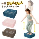 ステップ台 体幹ぴょんぴょんホップステッパー 健康 クッション トレーニング エクササイズ 体幹 美脚 ヒップアップ 有酸素運動 ジャンプ 踏み台昇降 遮音 衝撃吸収