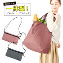 エコッシュ 便利 サコッシュ ミニショルダー エコバッグ お買物バッグ 一体化 大容量 アルミコート 保冷剤ポケット 洗える 肩掛け マチ広 簡単