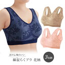 着け心地のいい綿混らくブラ花柄3色組 レディース 婦人 下着 ブラジャー ブラトップ ナイトブラ ノンワイヤーノーホック ソフトカップ 伸縮性(4)