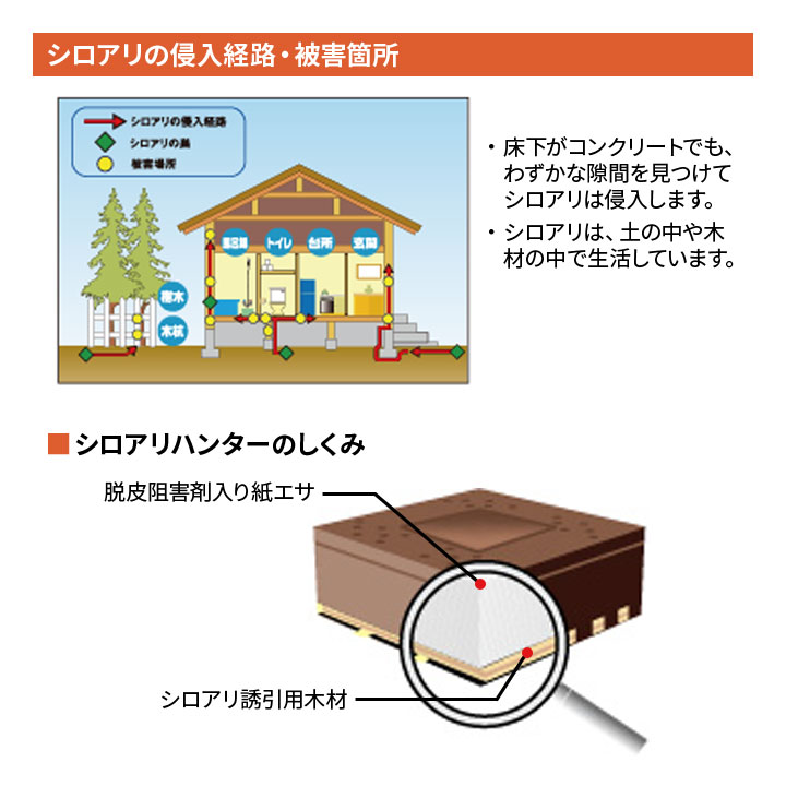 シロアリハンター 駆除剤 ベイトタイプ プロ仕様 白蟻 白アリ シロアリ 害虫 誘引 ...