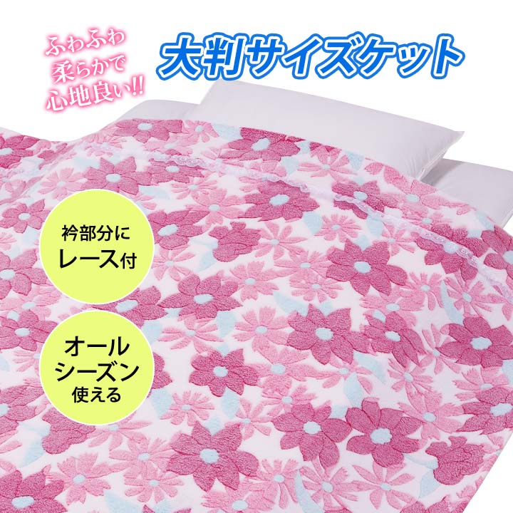 【2色組】大判サイズオールシーズンケット 寝具 肌掛け ケット シングル タオルケット ブランケット 掛けケット 毛布 大判 洗える オールシーズン【メーカー直送】 justpartner-10005658 便利雑貨のジャストパートナー サンプル画像2