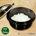 簡単炊きたて電子レンジ用炊飯器 電子レンジ用炊飯器 国産 炊飯器 電子レンジ ごはん鍋 0.5合 1合炊き 2合 一人暮らし 電子レンジ専用 蒸し器