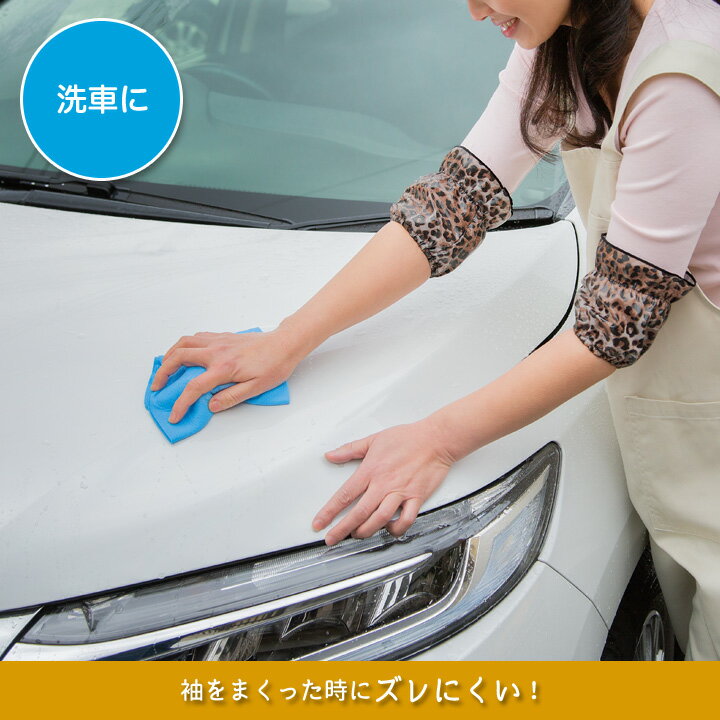 �ɿ��󥫥С�2���� �������å� µ�����С� �ɿ����� ��Ǩ���ɻ� �����ɻ� �������к� µ�� �Ȼ� ��Ż� �����ǥ˥� �ǥ�������ڥ᡼���زġ�