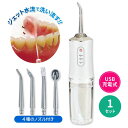 【1セット】ジェット噴射口腔洗浄器 マウスウォッシャー ジェットウォッシャー 口腔洗浄機 口腔洗浄器 水流 口内ケア 洗浄 電動 USB充電式 ウォーターフロス