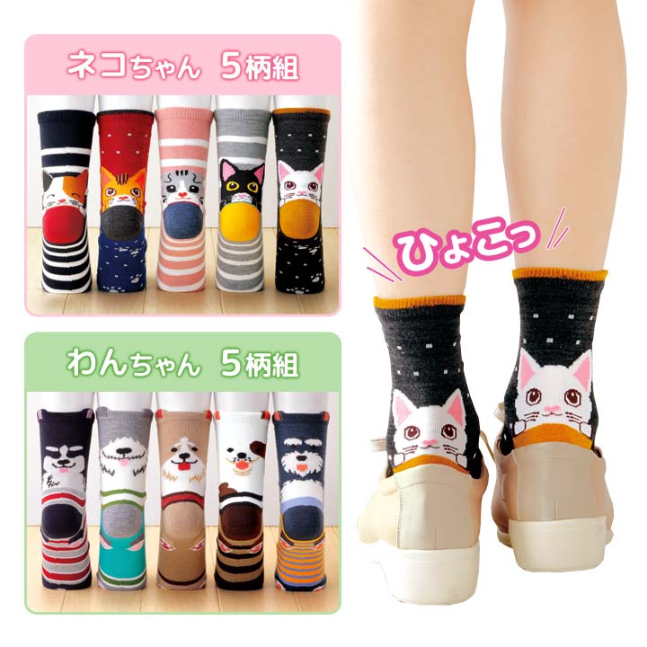 Rakuten - かかとアニマルソックス 5柄組 レディース 靴下 くつ下 ネコちゃん わんちゃん 猫 犬 踵 見える かわいい イラスト 顔 フェイス 5足セット【メール便可】