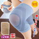 【太めの脚専用】ズレにくい膝楽いきいきサポーター2枚組 ビッグ 膝サポーター 薄手 ひざ サポーター 強圧サポート 強力 すべり止め加工 ズレ落ちにくい 安定 ...