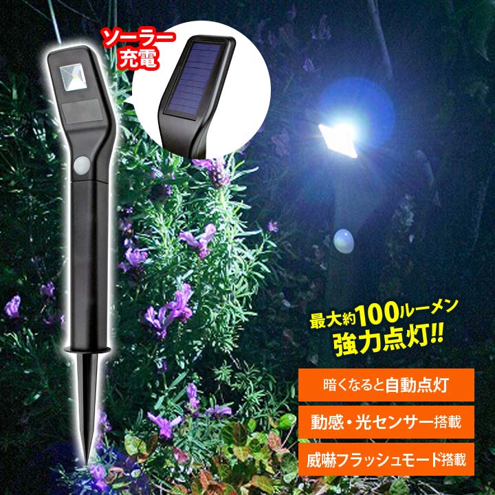 商品画像1