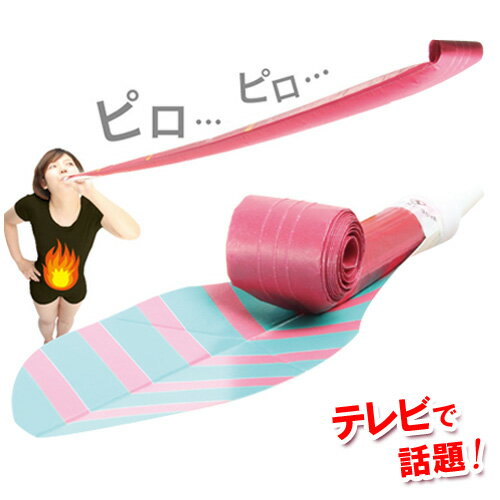 腹式呼吸エクサロングピロピロ 吹き戻し ながらエクサ ウエスト ダイエット 腹式呼吸 美顔 ほうれい線 シェイプアップ ロングブレス法 笛 筋トレ 腹筋 お腹まわり 表情筋【メール便可】