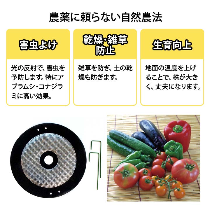 ��褱������餤�餺 6���� ���� ͽ�� ���֥�ॷ ���ʥ���� ����ȿ�� ���� ���� �ɻ� ������� ͭ������ ������ˡ �ڹ������� �꿢�� �����ѥԥ���