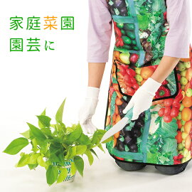 【メール便可】コットン手袋12枚入りコットン手袋ゴム荒れ防止綿100%家庭用ずれにくいリブ仕様作業掃除園芸用手袋ガーデニング土いじりてぶくろ手荒れ手袋肌に優しい12枚入