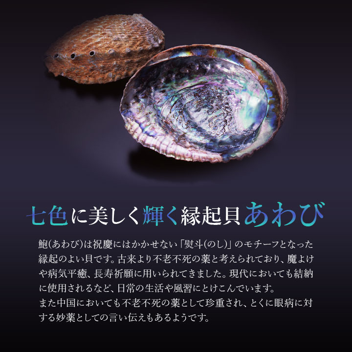 ティアドロップ・あわびプチペンダント アクセサリー 開運グッズ ネックレス 鮑 あわび 縁起 貝 シルバー 七色 輝き 美しい 日本製【メール便可】 justpartner-10004757 便利雑貨のジャストパートナー サンプル画像2