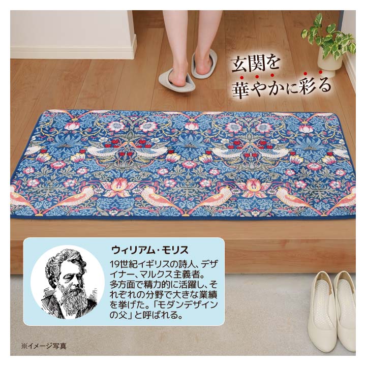 ��60��110cm�ۥ�ꥹ���ɥ��쥯����� ���إޥå� ����ƥꥢ ���� ���� �� �ޥå� ���� ���쥿�� ���ߤ�ù� ������ �����ꥢ�ࡦ��ꥹ ������ť�� ����̵��