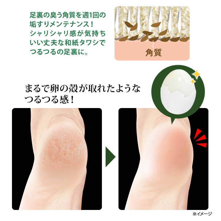 ������ʥ���� ������ߥȥ� ������ �եåȥ��� ������ ­΢ �ܥǥ� ����� �������� ���亮 �Ѽ� ������ ���� �»� �� ξ�� �ϡ��� ���եȡڥ᡼���زġ�