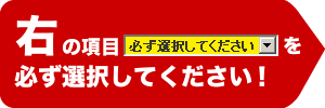 【楽天リフォーム認定商品】【工事費込セット（商品＋基本工事）】[CW-RG1-BN8] INAX 温水洗浄便座 RGシリーズ 基本タイプ 貯湯式 ウォシュレット　シャワートイレ LIXIL リクシル イナックス CW-RG10-BN8の同等品 オフホワイト