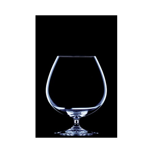 [808] リーデル ワイン ワイングラス ヴィノム ブランデー・スニフタ 6416/18 (約)口径75.5X最大径118X高さ153 2脚 840cc 【送料無料】【メーカー直送のため代引不可】