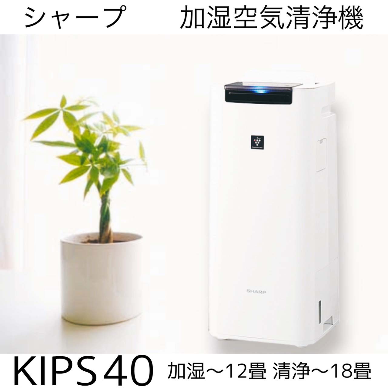 空気清浄機 シャープ プラズマクラスター25000 KI-P