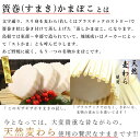 商品画像2:潮彩・すまき 単品【お正月】寿隆謹製おせちかまぼこ【蒲鉾/かまぼこ】【練り物/練りもの】【期間限定】【高級かまぼこ】【板かま】【出雲名物】【松江】【島根】