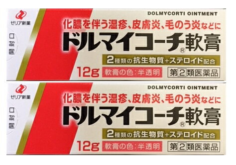  ドルマイコーチ軟膏 12g×2個セット｜指定第2類医薬品｜ゼリア新薬