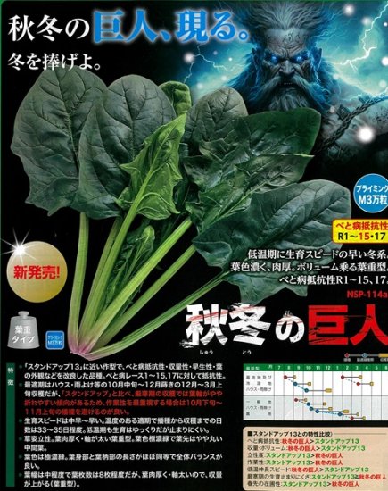 スタンドアップ13に近い作型で、べと病抵抗性・収量性・早生性・葉の外観などを改良した品種。 べと病レース1〜15、17に対しての抵抗性。 スタンドアップと比べ、厳寒期の収穫では葉軸がやや折れやすい傾向があるため、作業性を重視する場合は10月...