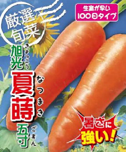 旭光夏蒔五寸 2dl ニンジン にんじん 人参 【アサヒ農園 種 たね タネ 】【通常5倍 5のつく日はポイント10倍】