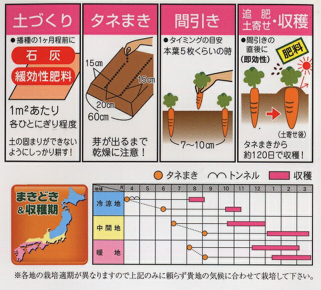 吸込尾張五寸 2dl ニンジン にんじん 人参 【アサヒ農園 種 たね タネ 】【通常5倍...