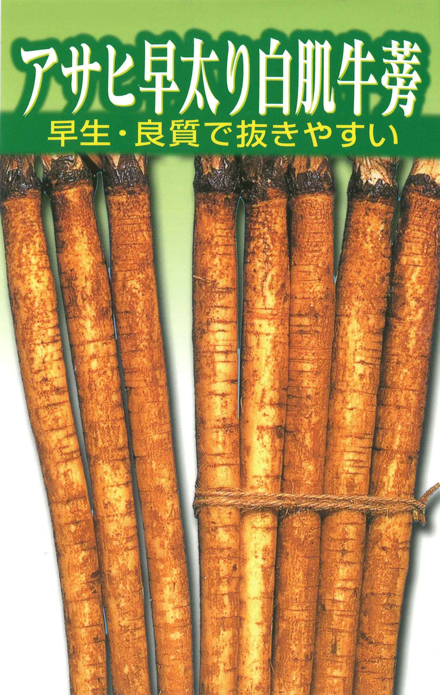 樂天商城 - アサヒ早太り白肌 1L 牛蒡 ゴボウ ごぼう 【アサヒ農園 種 たね タネ 】【通常5倍 5のつく日はポイント10倍】
